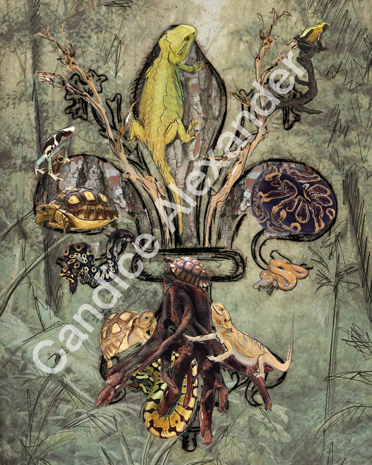 Reptiles Fleur De Lis art by Candice Alexander, Louisiana Artist