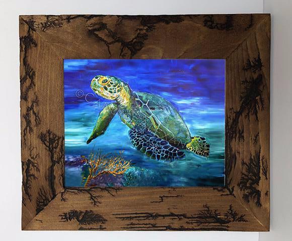 Candice Alexande Sea Turtle Electrocuted Frame