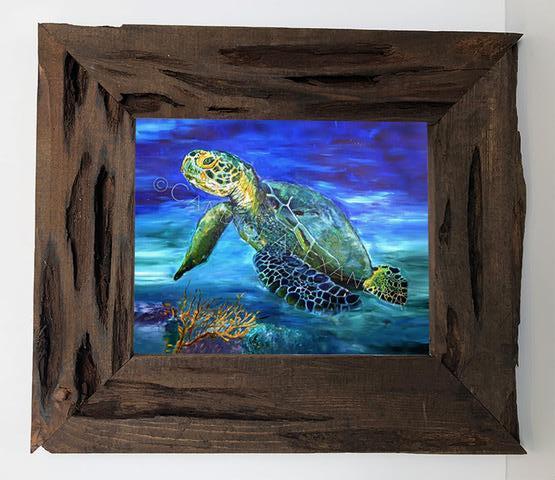Candice Alexande Sea Turtle Louisiana Cypress Frame