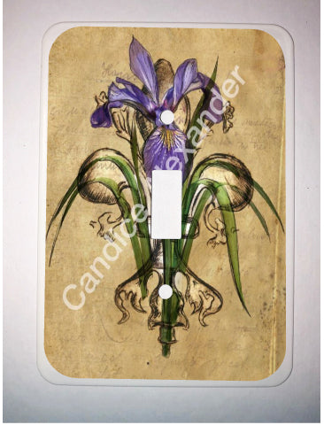 Purple Iris