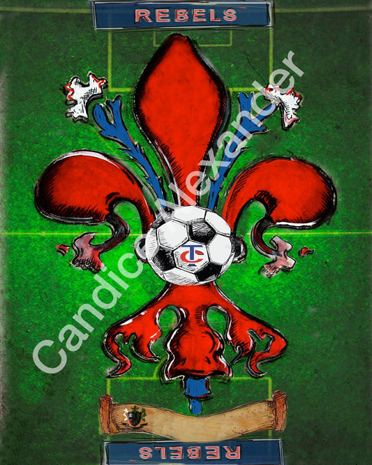 soccer Fleur De Lis art by Candice Alexander, Louisiana Artist