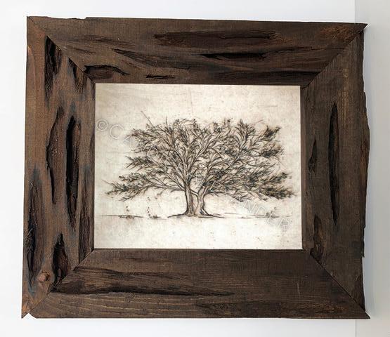 Candice Alexander Tree of Life Louisiana Cypress Frame