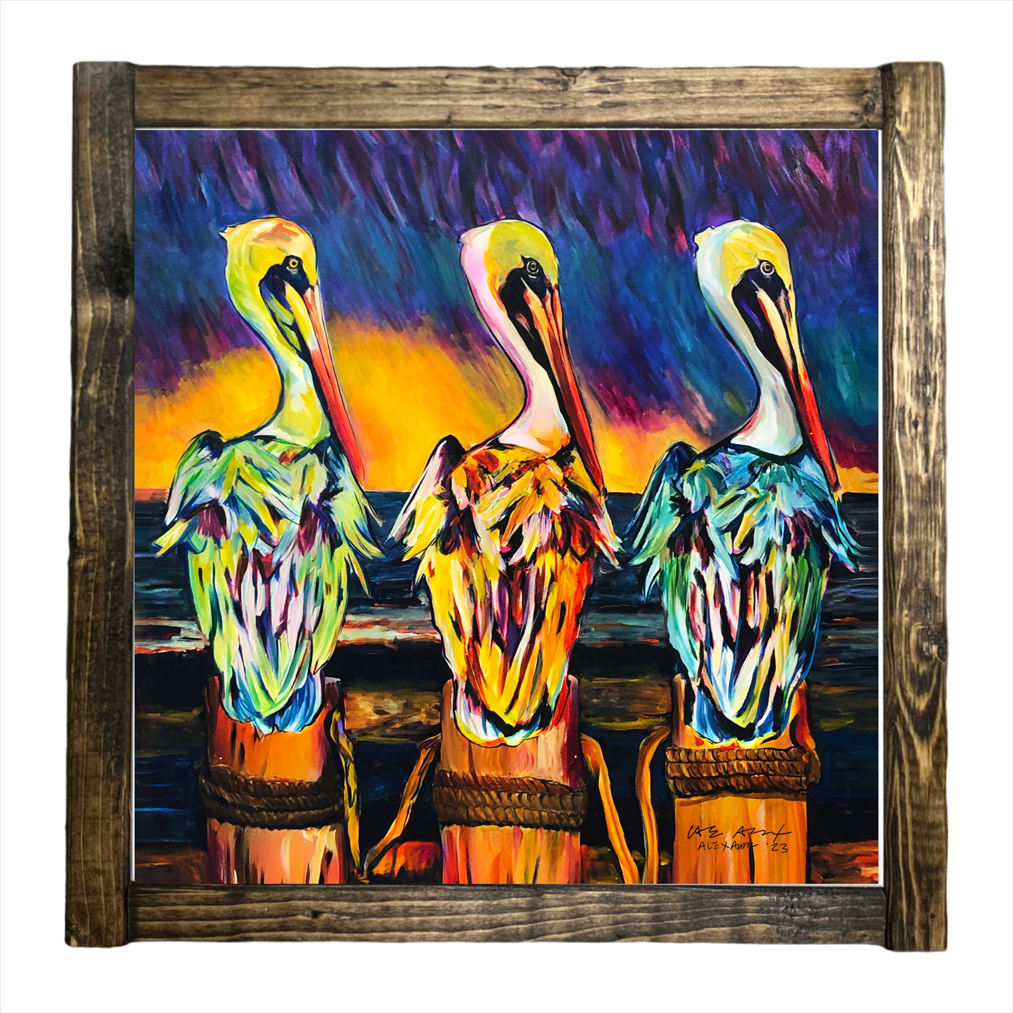 Three Pelicans - Framed
