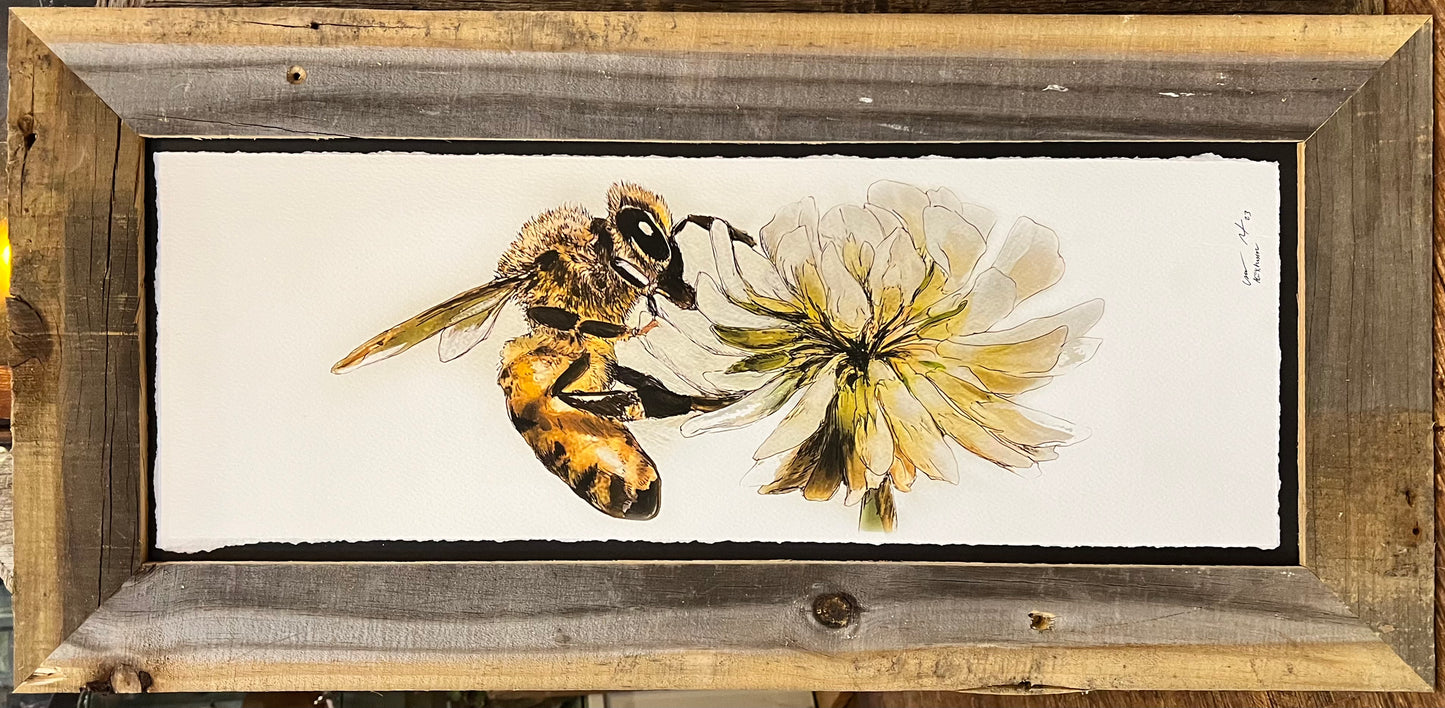 Clover Honeybee