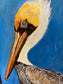 Louisiana Brown Pelican