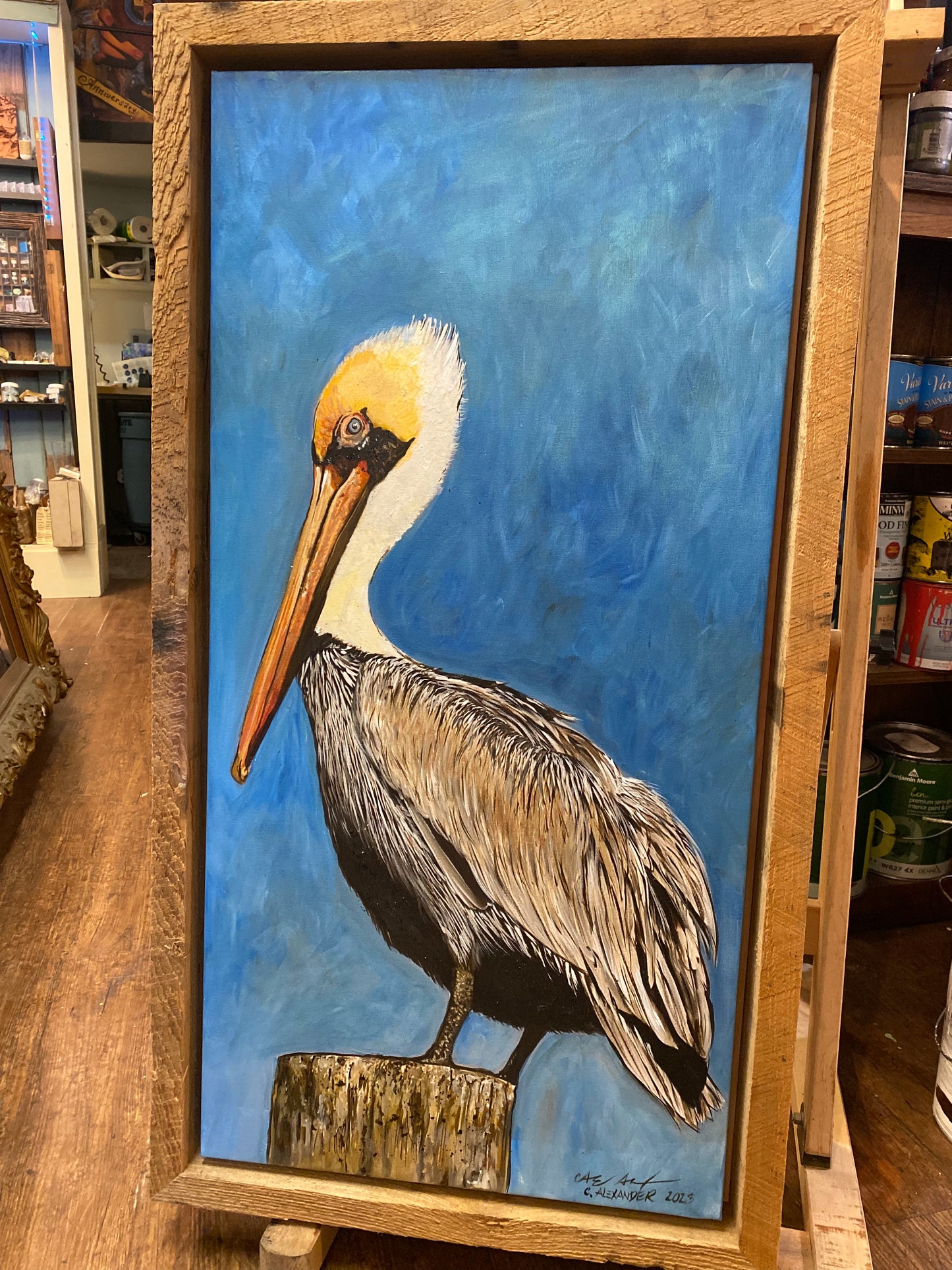 Louisiana Brown Pelican
