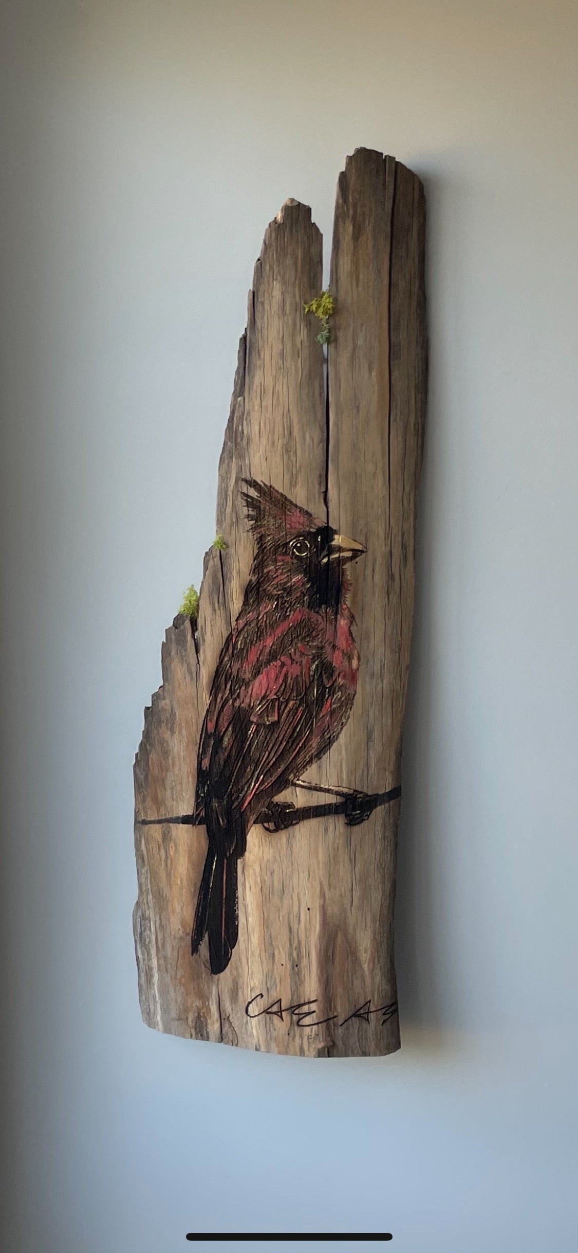 Wood Engraved, Hand Painted Cardinal