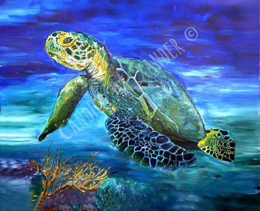 Candice Alexande Sea Turtle Design Fleur De Lis art by Candice Alexander, Louisiana Artist